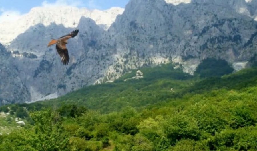 “Në tokën e Shqiponjave”, reportazh i “Rai 3” për natyrën shqiptare