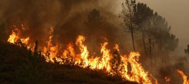 Apel për qytetarët e Komunës së Dragashit për kujdes të shtuar në trajtimin e zjarrit