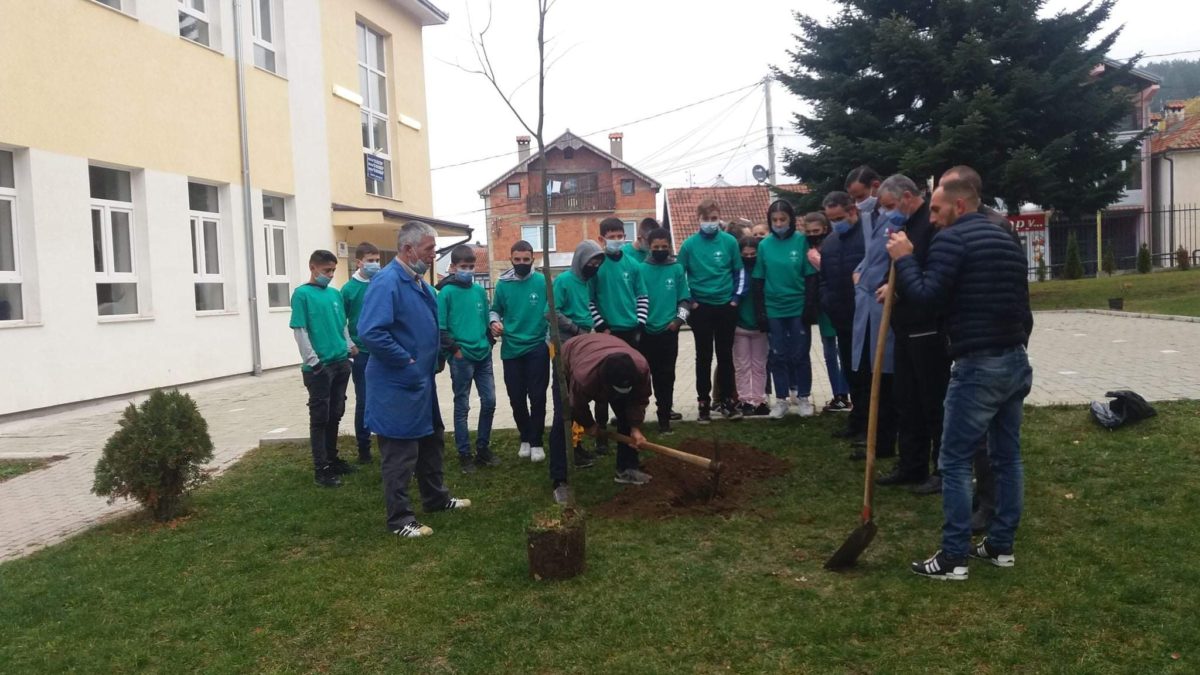 OJQ “Ambienti” mbjellë fidane “Bliri sherues” në shkollat e komunës së Dragashit