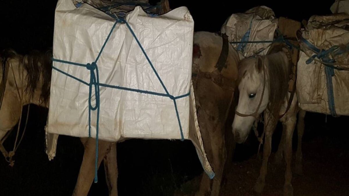 Kontrabandim me mallra: Përmes kuajve u tentua të futeshin 260 kg duhan në Kosovë